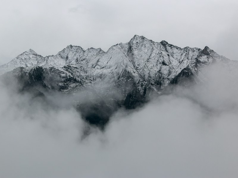 Open Source Contribution ❤️ Erstes Mal einen Pull Request in ein großes Projekt gemergt — das Gefühl ist unbezahlbar!