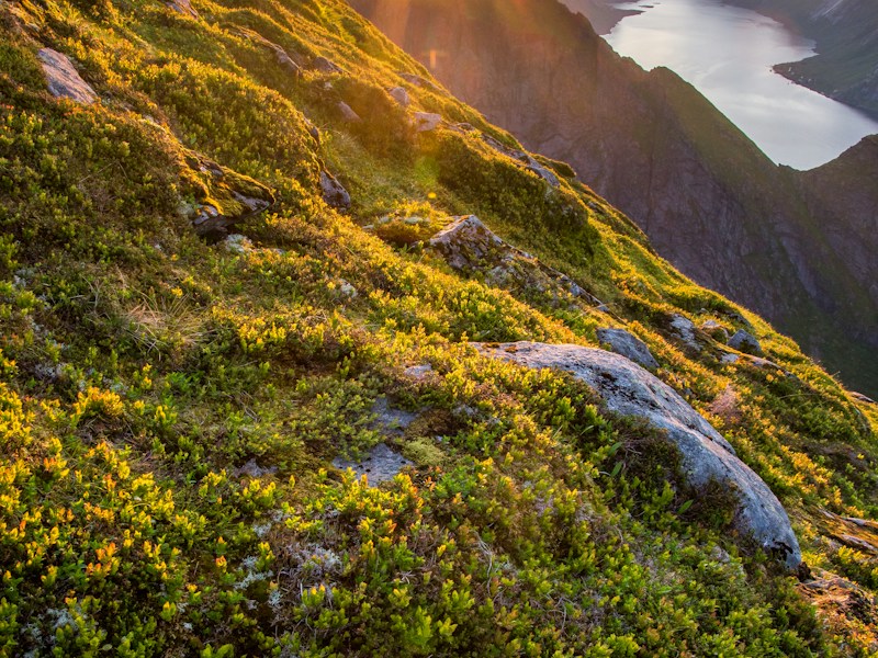 Morgen-Run bei Sonnenaufgang 🌅🏃‍♂️ 6 Uhr, 8 km, Salzburger Land. Wenn die Welt noch schläft, gehört die Straße dir allein.
